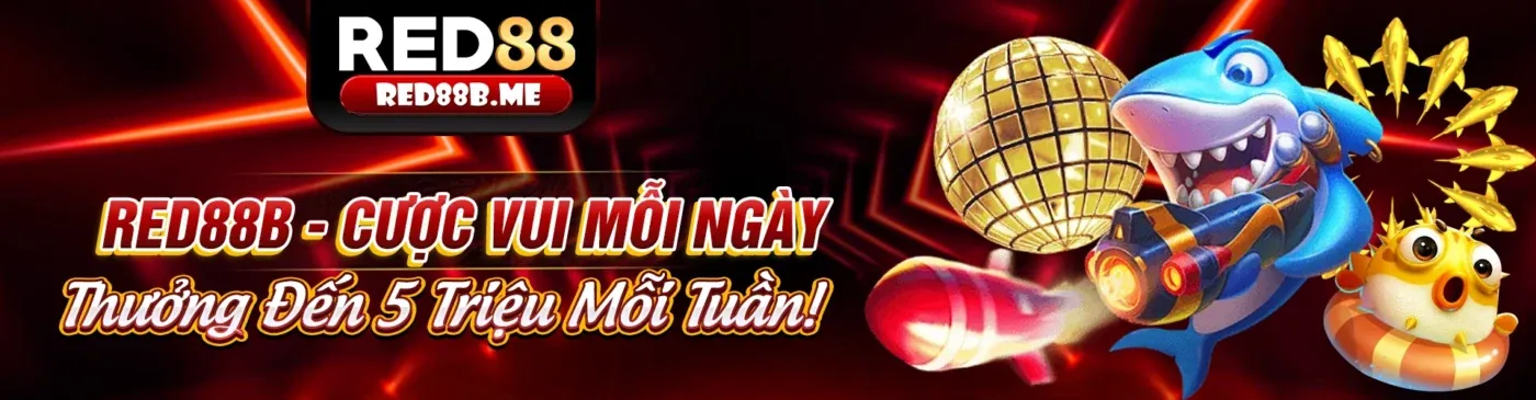 Hình ảnh bài viết nổi bật về chiến lược cá cược của st8