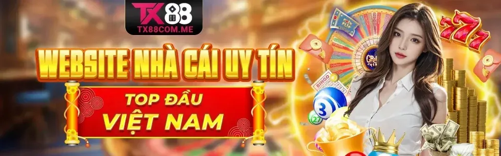 Tổng quan về nền tảng cá cược trực tuyến st8